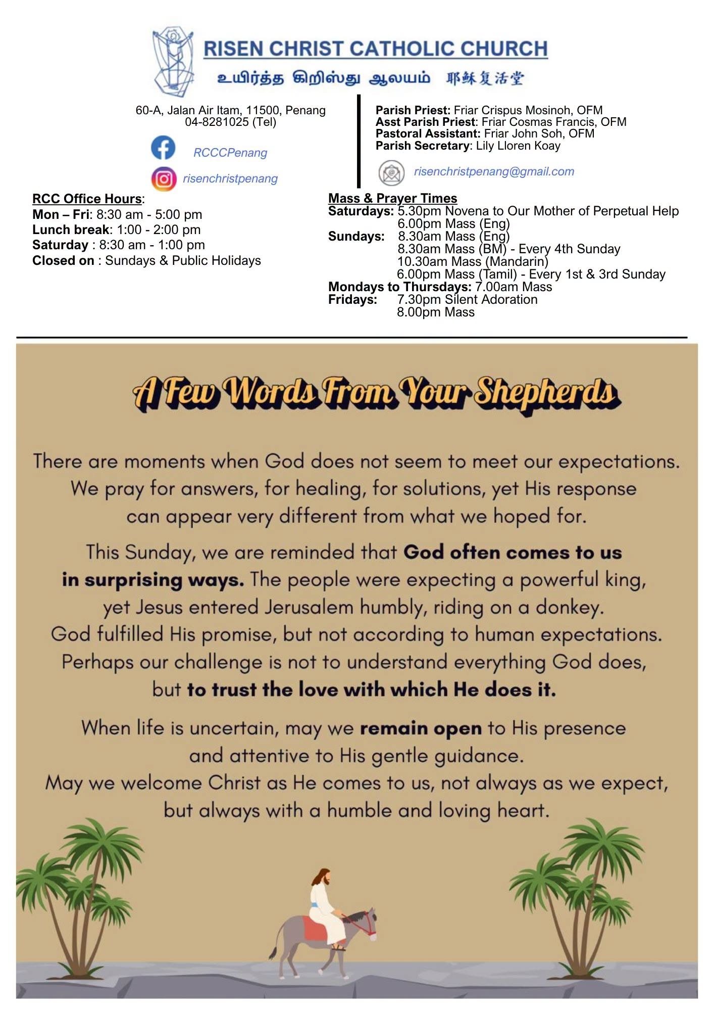 Parish info, mass times, and this week's reflection from the parish priests